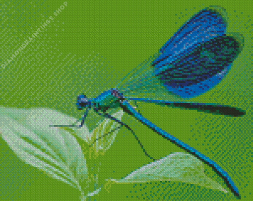 Blue Dragonfly Insect Diamond Paintings