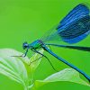 Blue Dragonfly Insect Diamond Paintings