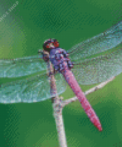 Beautiful Purple Dragonfly Diamond Paintings