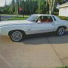 76 Monte Carlo White Car Diamond With Numbers