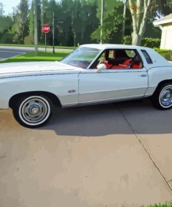 76 Monte Carlo White Car Diamond With Numbers