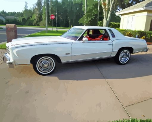 76 Monte Carlo White Car Diamond With Numbers