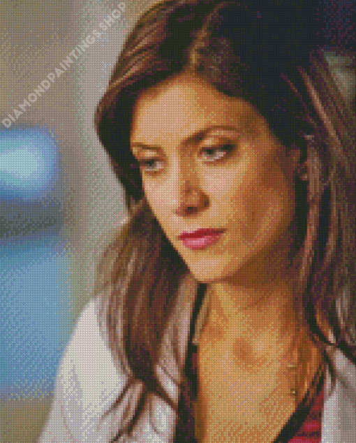 Addison Montgomery Greys Anatomy Series Character Diamond Dotz