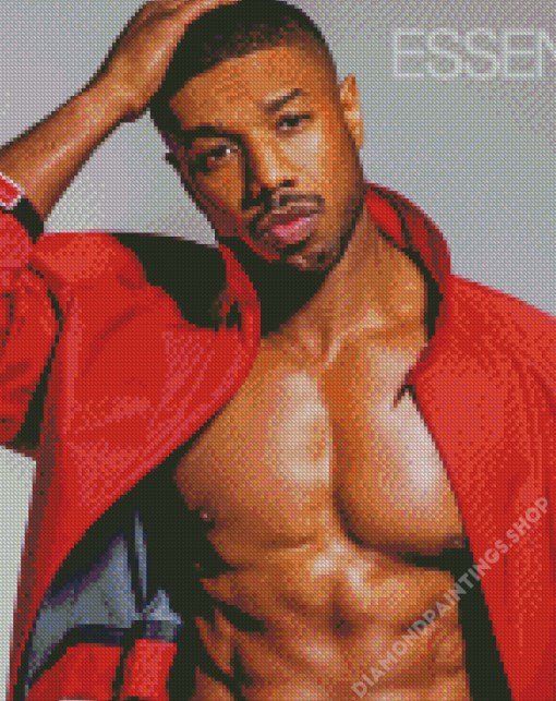 Handsome Michael B Jordan Diamond Paints