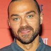 Jesse Williams Diamond Dotz