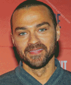 Jesse Williams Diamond Dotz