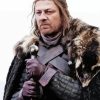 Ned stark Diamond Paints