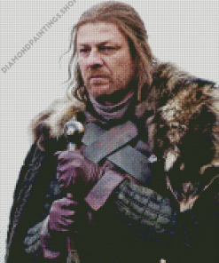 Ned stark Diamond Paints