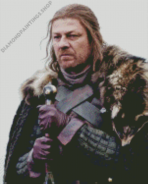 Ned stark Diamond Paints