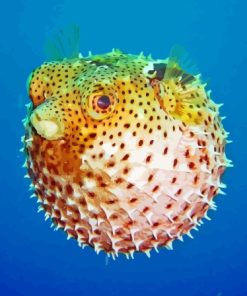 Puffer fish Diamond Paints