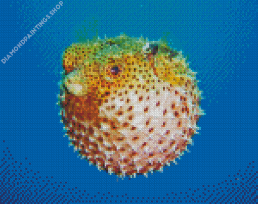 Puffer fish Diamond Paints