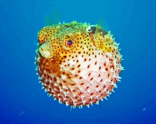 Puffer fish Diamond Paints