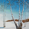 Snow White birches Diamond By Numbers