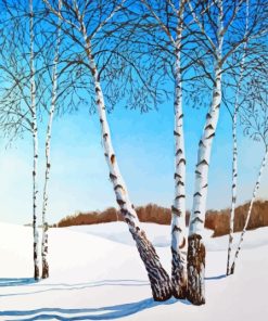 Snow White birches Diamond By Numbers