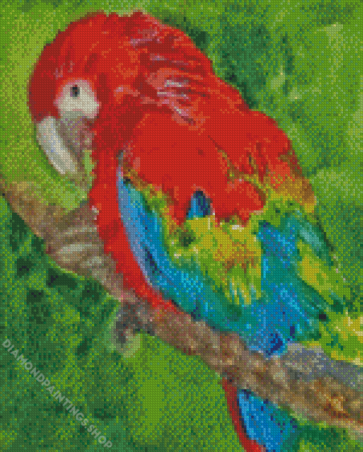 Splash parrot art Diamond With Numbers