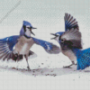 Two Blue Jay In Winter snow Diamond With Numbers