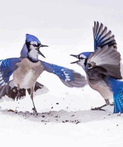 Two Blue Jay In Winter snow Diamond With Numbers