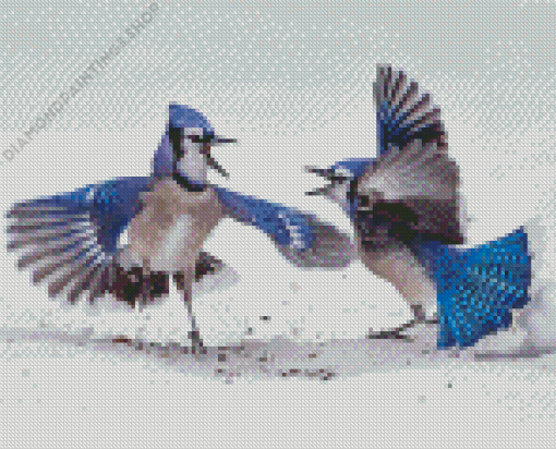 Two Blue Jay In Winter snow Diamond With Numbers