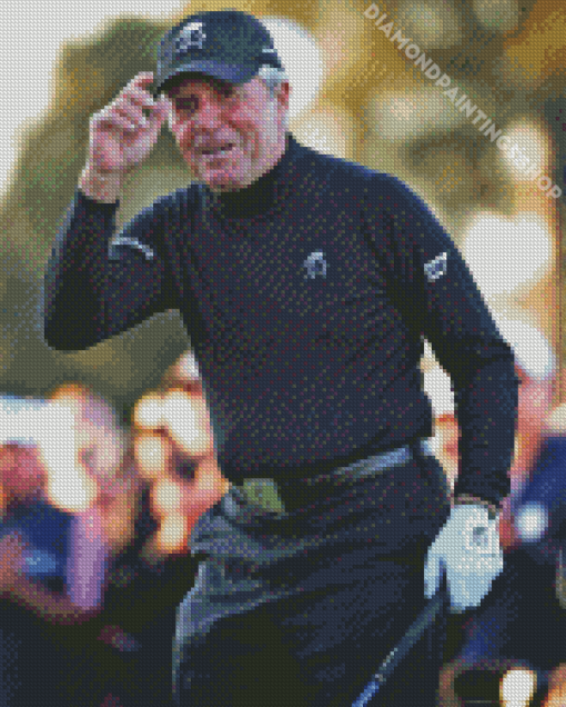 gary player Diamond Paints