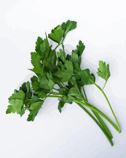 green Parsley leaves Diamond Paints