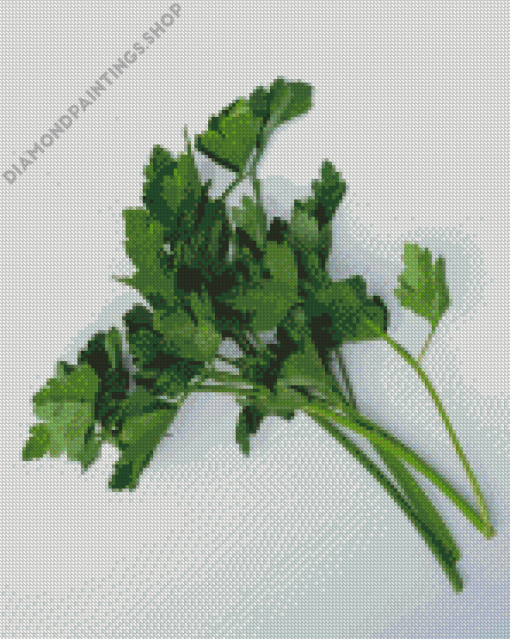 green Parsley leaves Diamond Paints