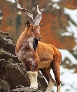 markhor pakistan wild goat animal Diamond Paints