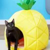 pineapple Cat bed Diamond With Numbers