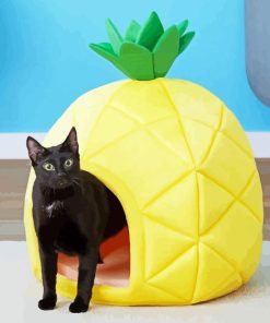 pineapple Cat bed Diamond With Numbers