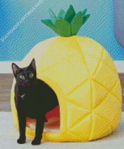 pineapple Cat bed Diamond With Numbers