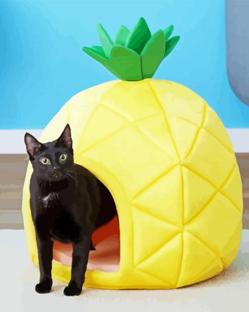 pineapple Cat bed Diamond With Numbers