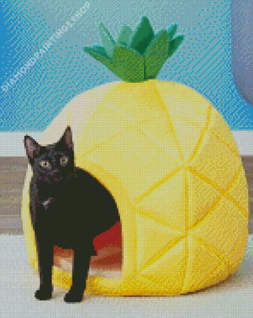 pineapple Cat bed Diamond With Numbers