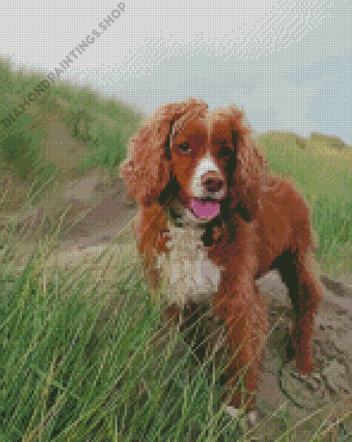 working spaniel Diamond Paints