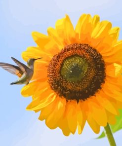 yellow Sunflower with hummingbird Diamond Paints