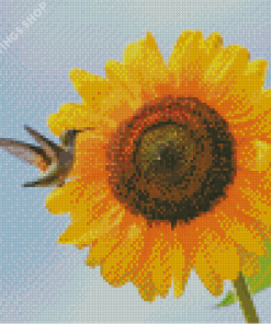 yellow Sunflower with hummingbird Diamond Paints