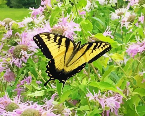 yelow butterfly in Wild bergamot Diamond With Numbers