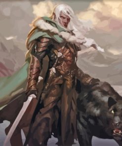 Drizzt dourden Diamond By Numbers