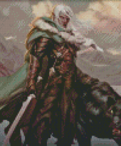 Drizzt dourden Diamond By Numbers