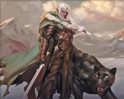 Drizzt dourden Diamond By Numbers