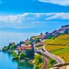 Lavaux vineyard in vevey Diamond With Numbers