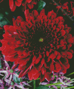 Red chrysanthemum plant Diamond Paints