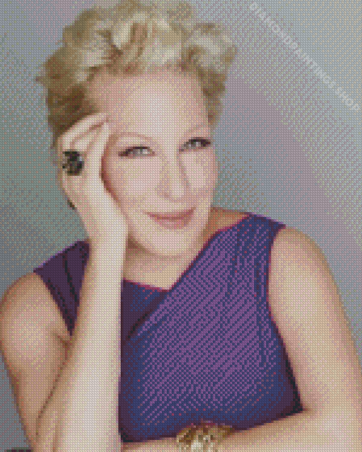 The Actress Bette midler Diamond Paintings