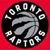 raptors logo Diamond With Numbers