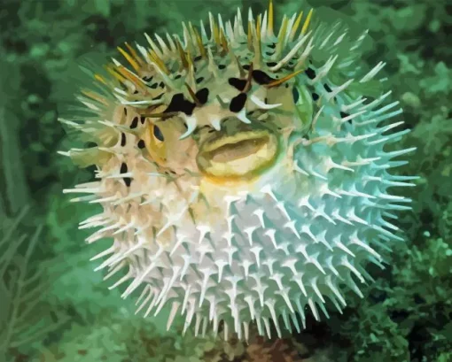 Blowfish underwater Diamond By Numbers