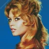 Bridget bardot Diamond By Numbers