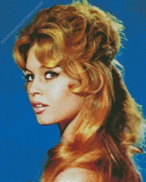 Bridget bardot Diamond By Numbers