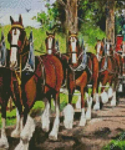 Budweiser Clydesdales Art Diamond By Numbers