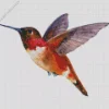 Rufous Hummingbird Art Diamond Paintings