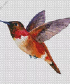 Rufous Hummingbird Art Diamond Paintings