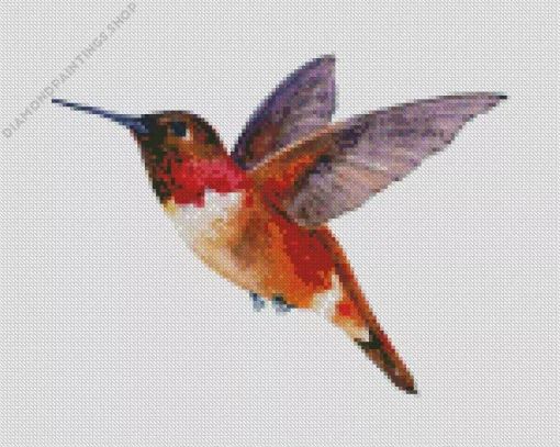 Rufous Hummingbird Art Diamond Paintings