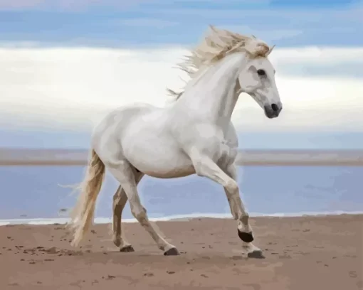 White horse at beach Diamond By Numbers